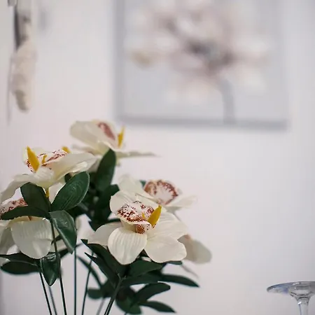 Gladiador Apartment Merida