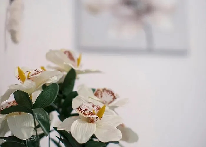 Gladiador Appartement Mérida